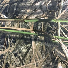 Polyesteriprintti Camo Twill hengittävä kangas